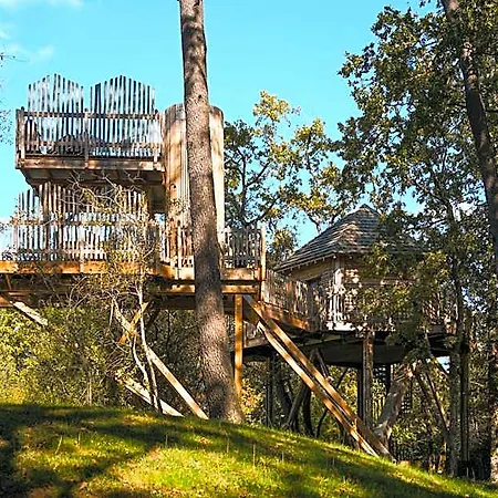 Hotel Perchees Dans Les Arbres *