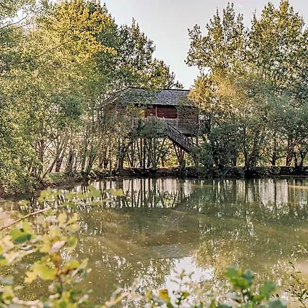 Perchees Dans Les Arbres Hotell